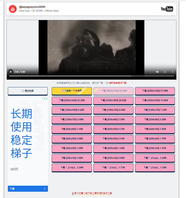 DLBunny 在線網站下載 YouTube 影片