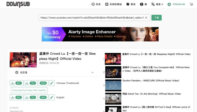 DownSub 線上字幕下載器