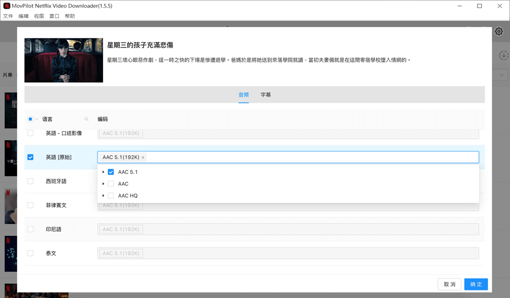 設定 Netflix 匯出影片格式