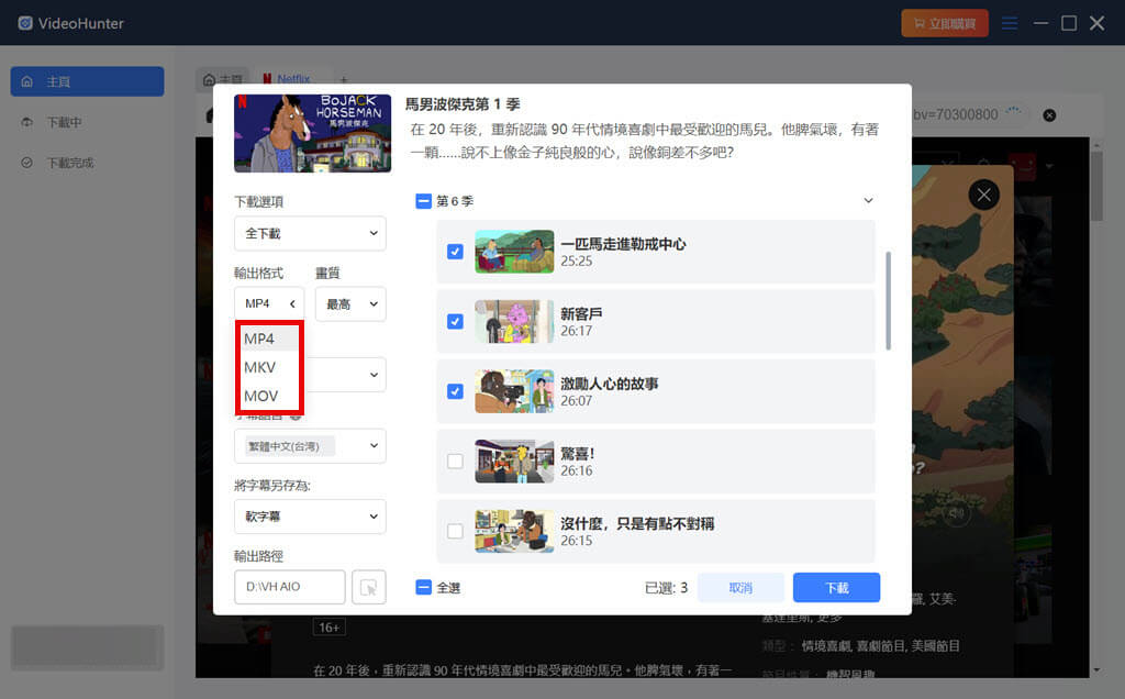 設定下載的 Netflix 電影格式