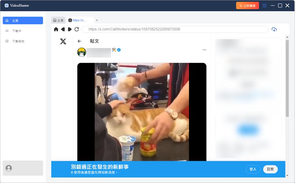 VideoHunter 看推特影片